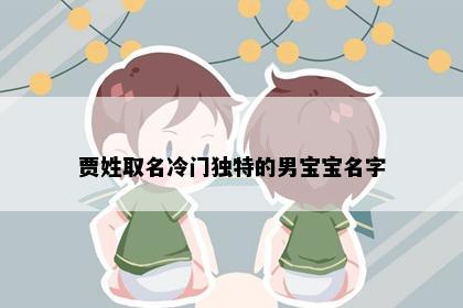 贾姓取名冷门独特的男宝宝名字
